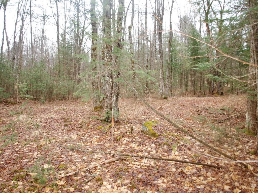 Cherry Valley Road Bethlehem, NH 03574 - Photo 8 of 26