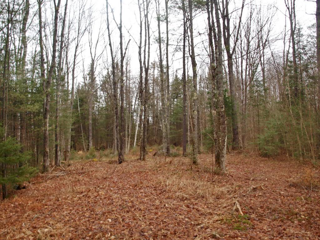 Cherry Valley Road Bethlehem, NH 03574 - Photo 9 of 26