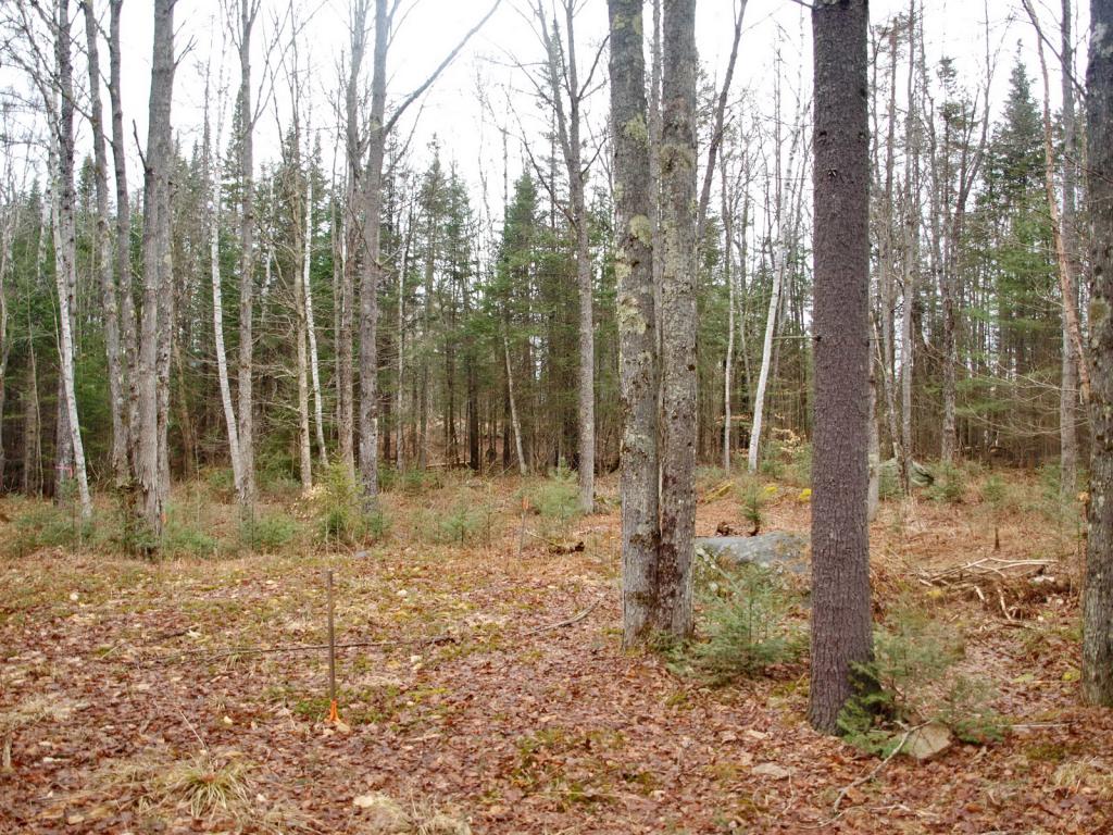 Cherry Valley Road Bethlehem, NH 03574 - Photo 10 of 26