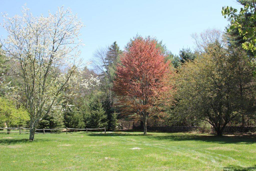 911 Tunk Hill Road Scituate, RI 02825 - Photo 36 of 38 YARD