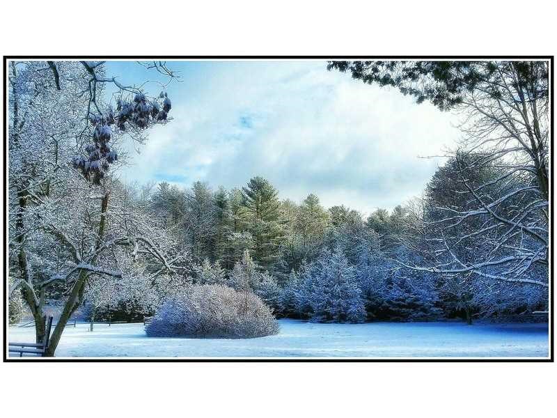 911 Tunk Hill Road Scituate, RI 02825 - Photo 37 of 38 YARD IN WINTER