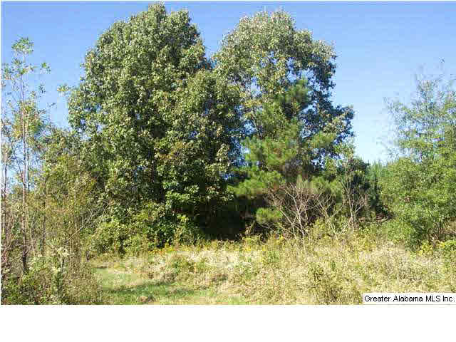 11 Highway Acs Al, Unit 40 Springville, AL 35146 - Photo 2 of 8