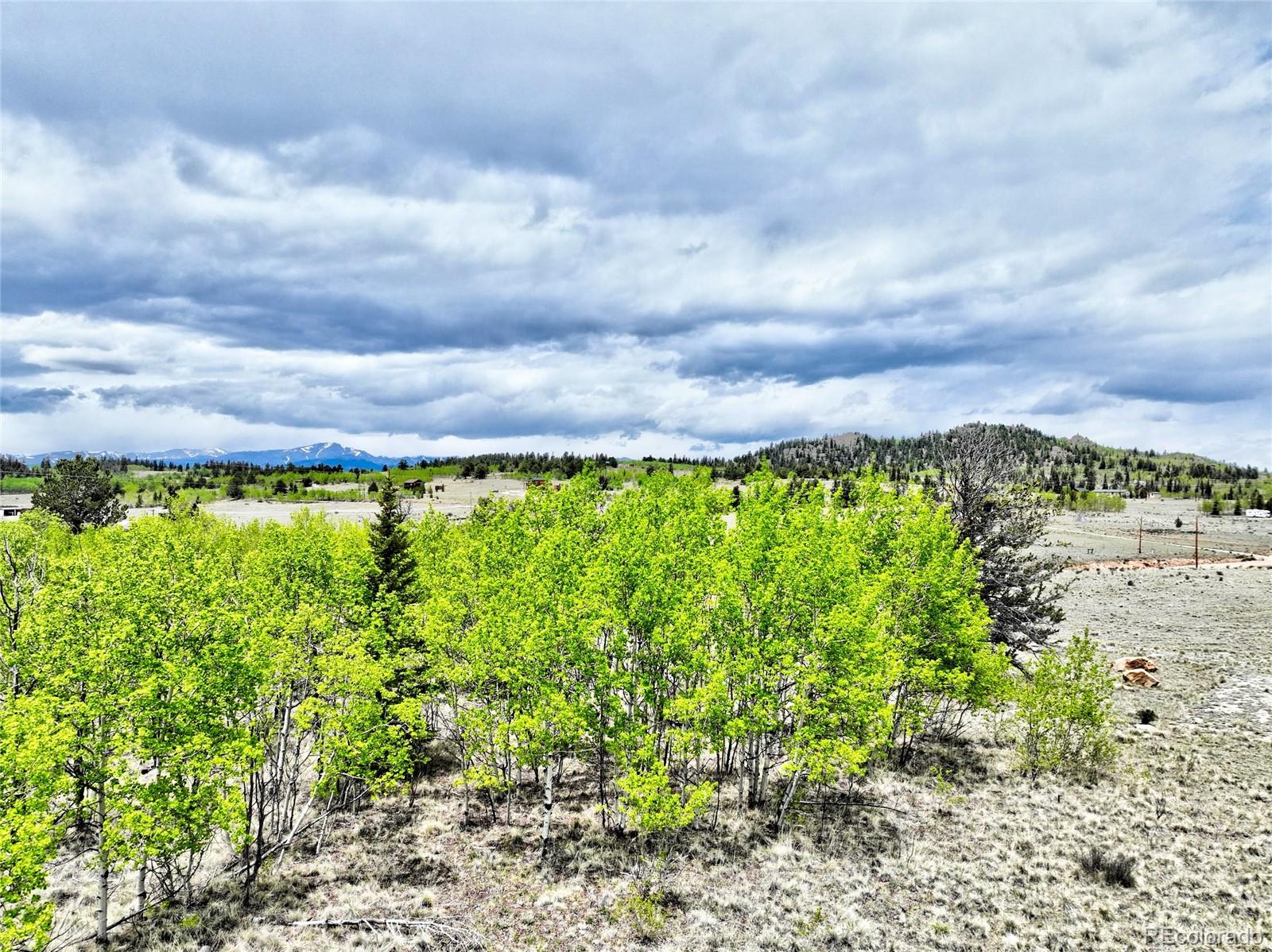 133 Highfill Road Jefferson, CO 80456 - Photo 1 of 17 Gallery Image 1