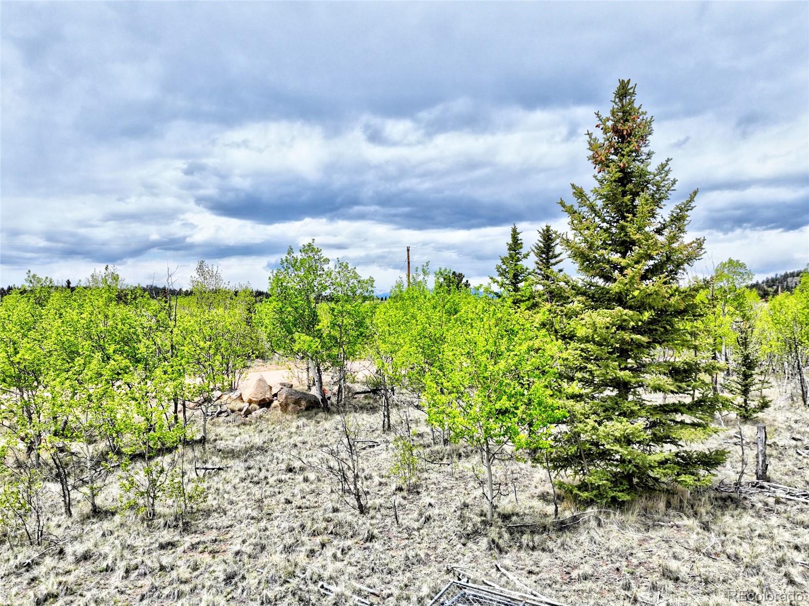 133 Highfill Road Jefferson, CO 80456 - Photo 7 of 17 Gallery Image 7