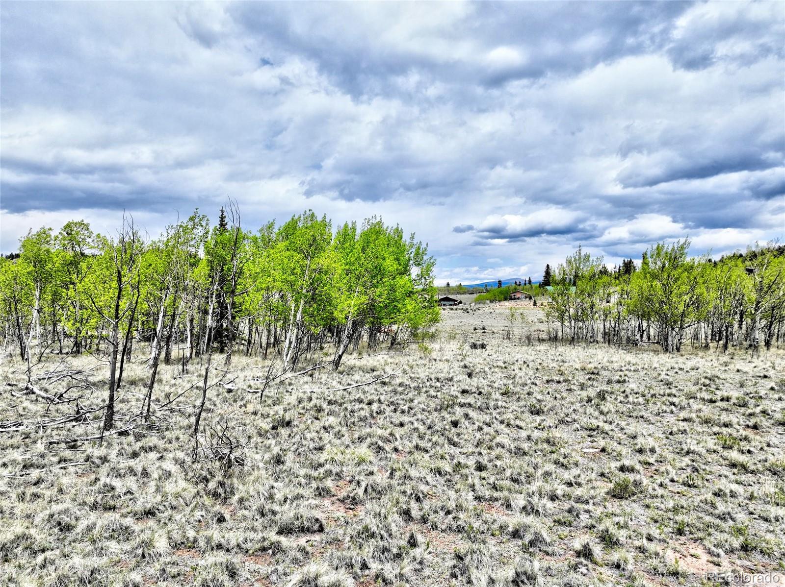 133 Highfill Road Jefferson, CO 80456 - Photo 8 of 17 Gallery Image 8