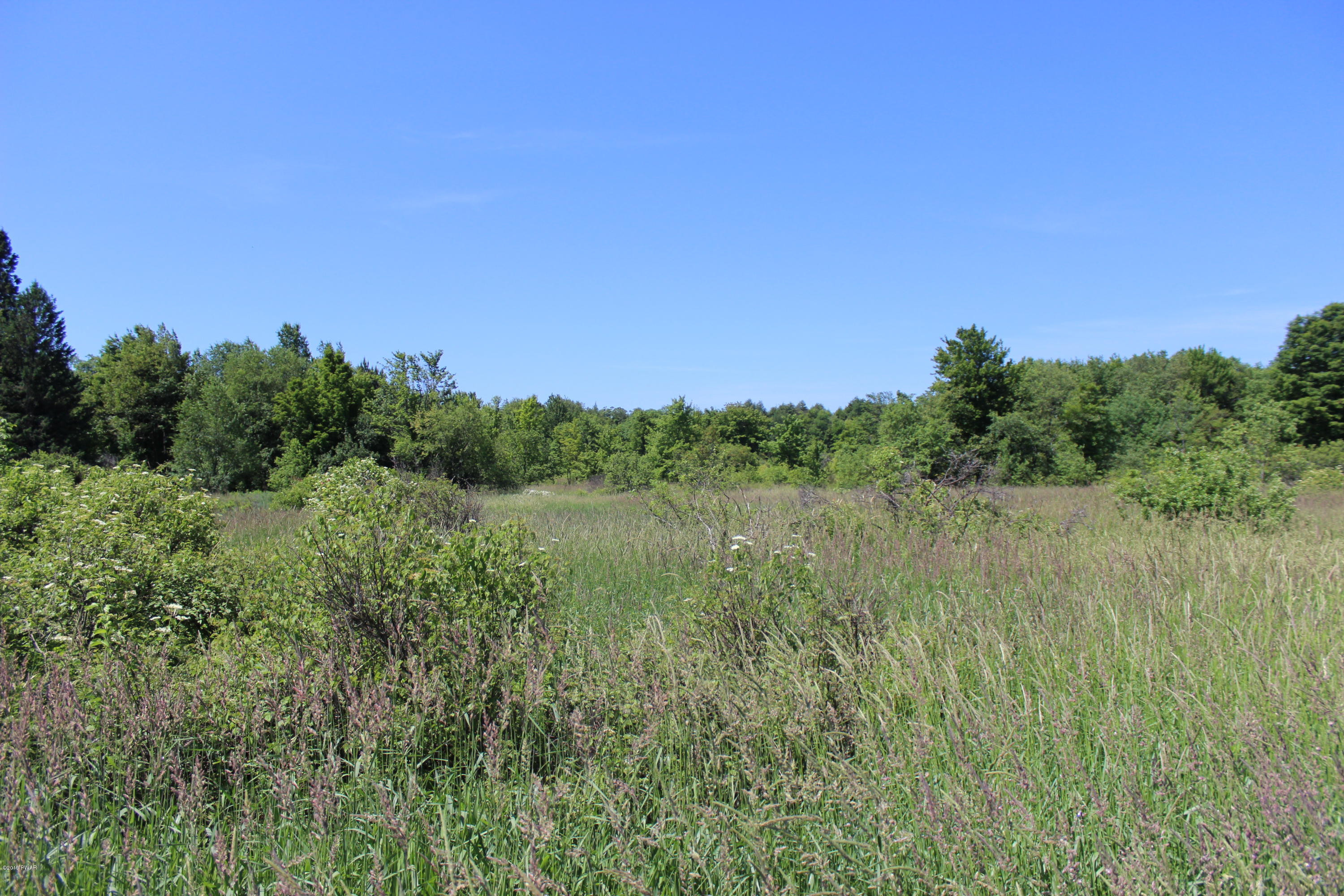 Cribbs Rd Road Lakewood, PA 18439 - Photo 1 of 10