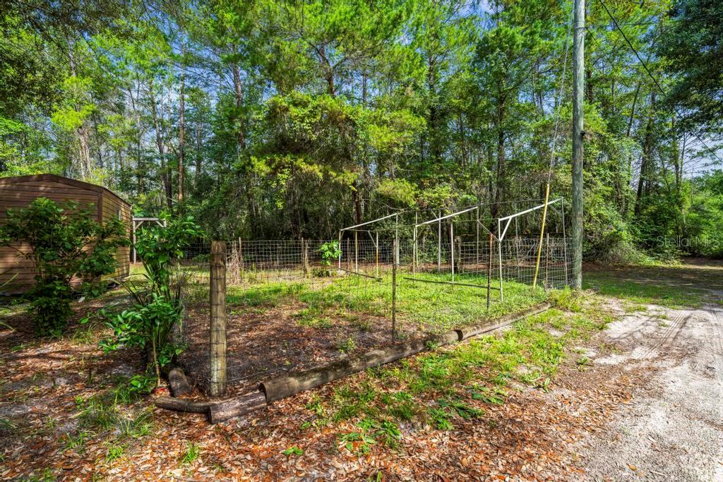 24607 Polar Bear Road Paisley, FL 32767 - Photo 39 of 47