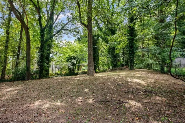 a view of a yard with large trees