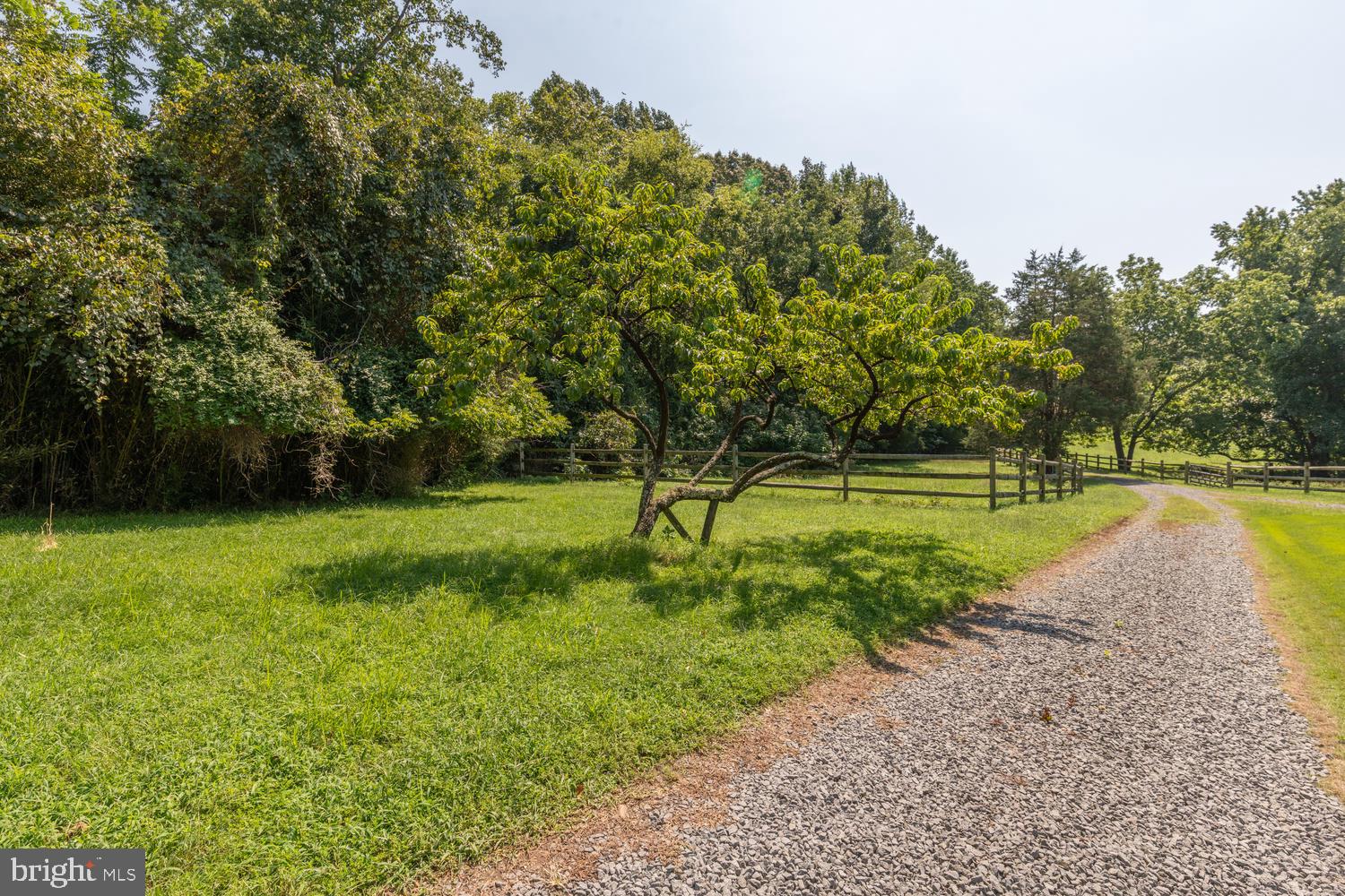 15001 Reserve Road Accokeek, MD 20607 - Photo 48 of 54