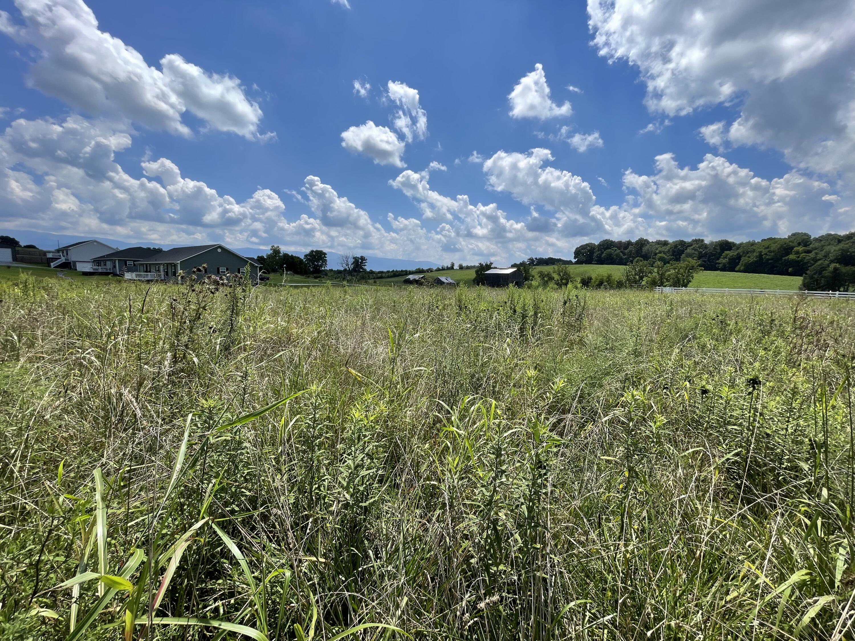 0 Moon Creek Road, Unit 4 Greeneville, TN 37745 - Photo 4 of 9 40E8ADD0-0F51-4D9C-AECA-AAF2E3479A21