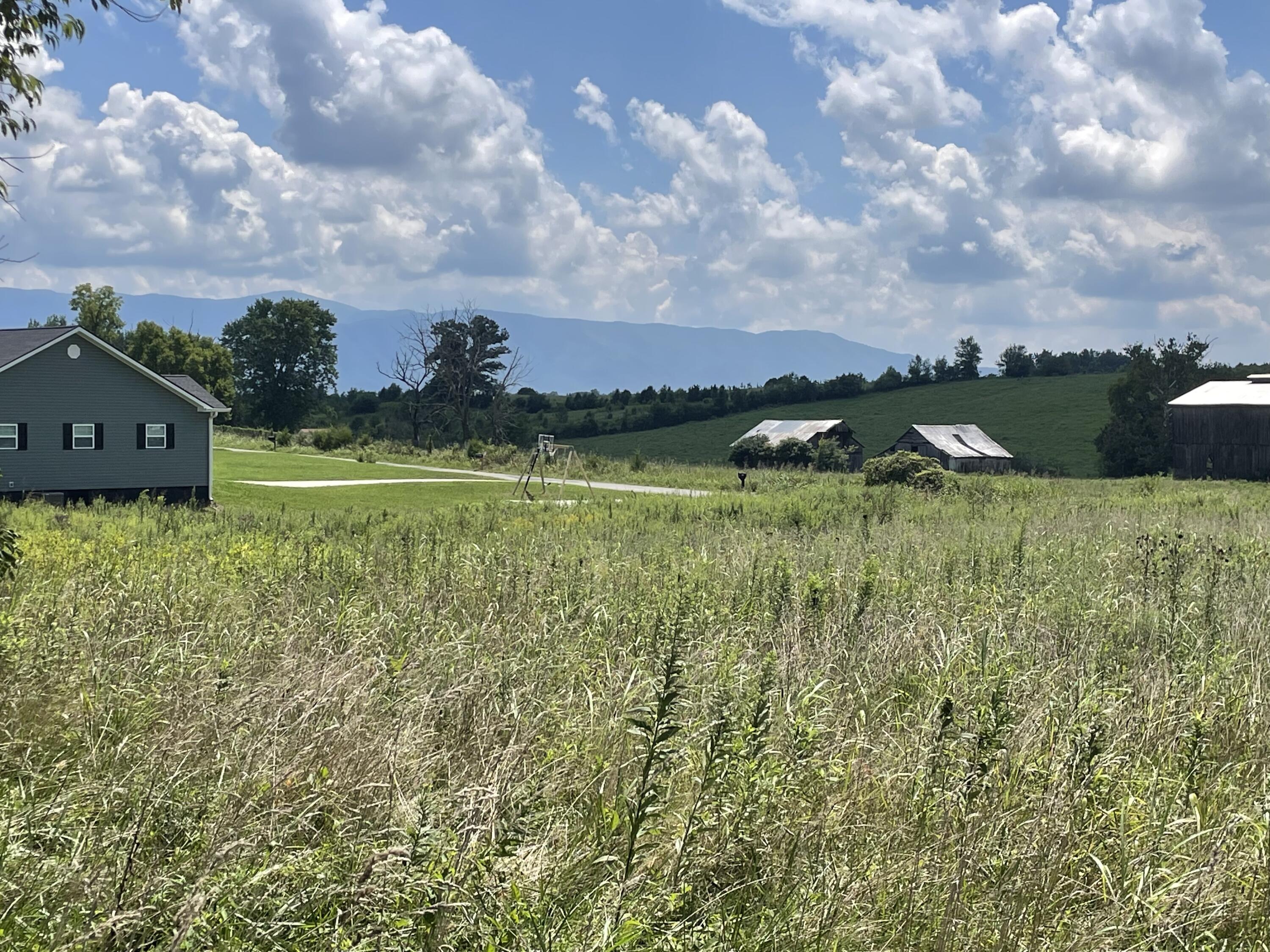 0 Moon Creek Road, Unit 4 Greeneville, TN 37745 - Photo 6 of 9 CB09B9A0-2D3F-4AC5-A930-F1D56809448A