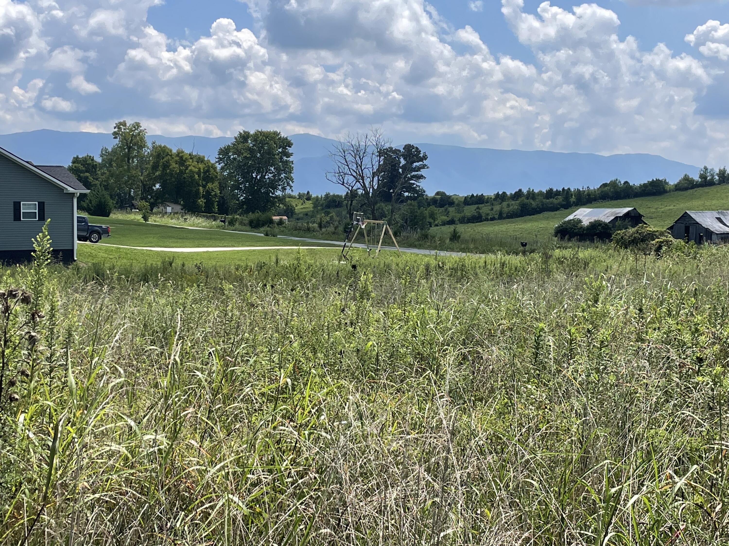 0 Moon Creek Road, Unit 4 Greeneville, TN 37745 - Photo 7 of 9 CDBFDA43-853E-4E4A-B695-20CE3CF0C353