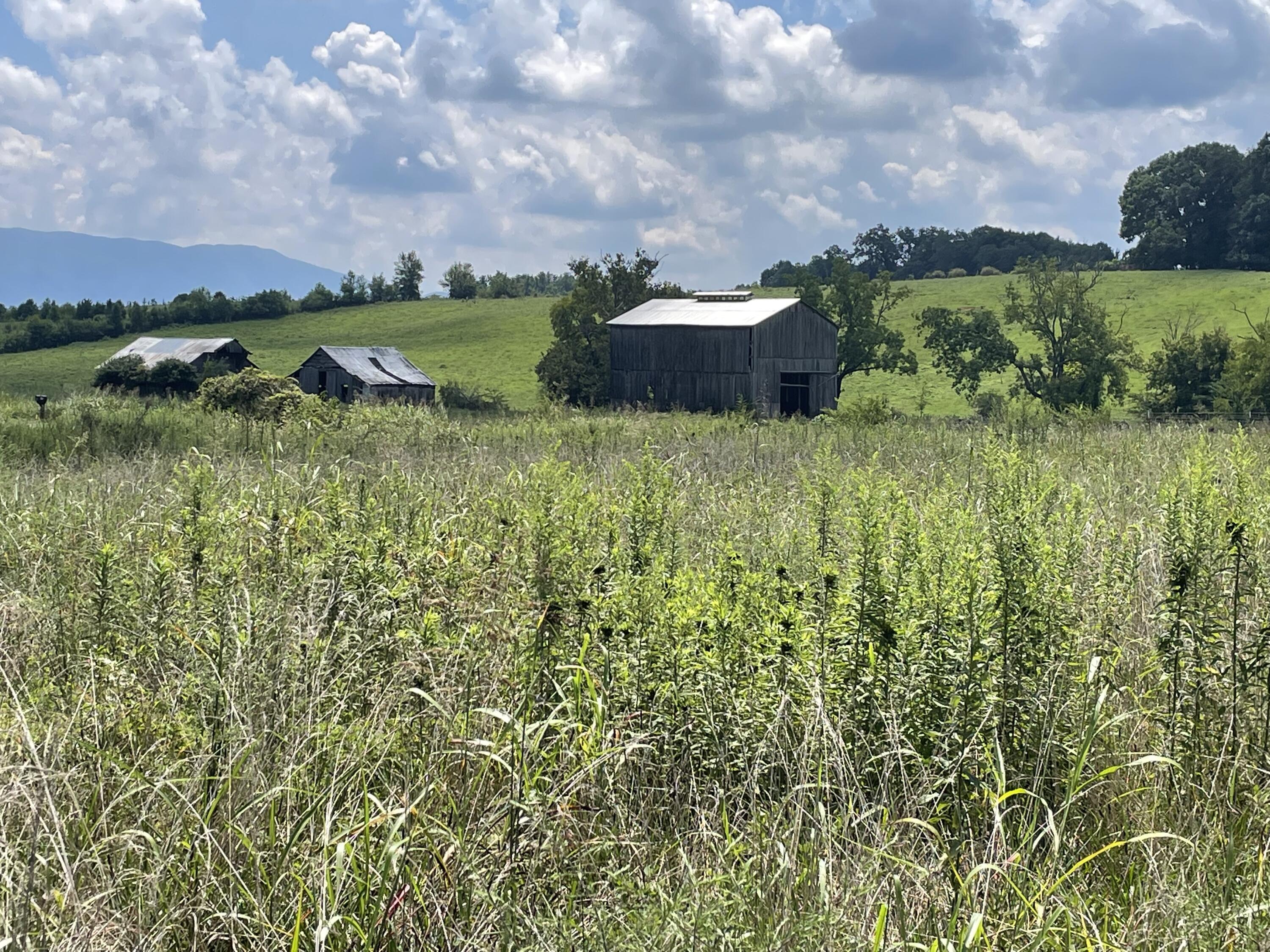 0 Moon Creek Road, Unit 4 Greeneville, TN 37745 - Photo 8 of 9 916129C1-6E5D-42B9-8878-42D685A8E269