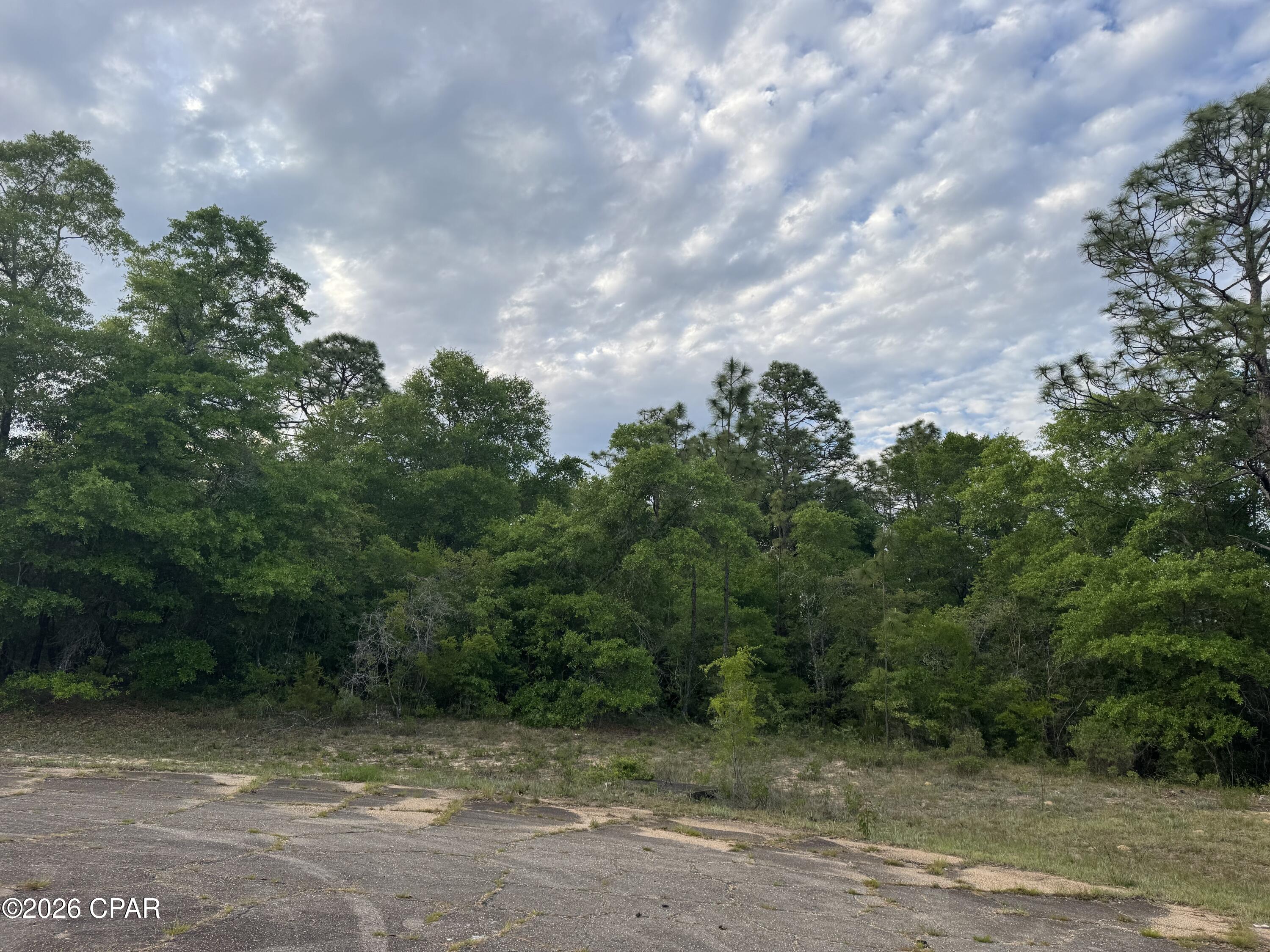0 June Court Chipley, FL 32428 - Photo 2 of 4