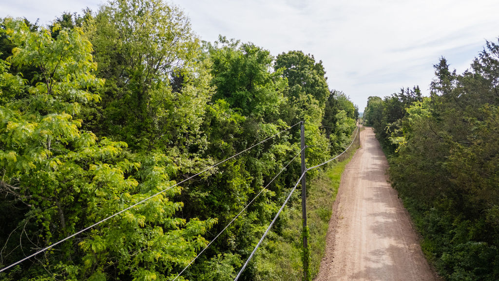 1 Horseshoe Bnd Road Lead Hill, AR 72644 - Photo 26 of 46 Unpaved road extending through dense tree lines