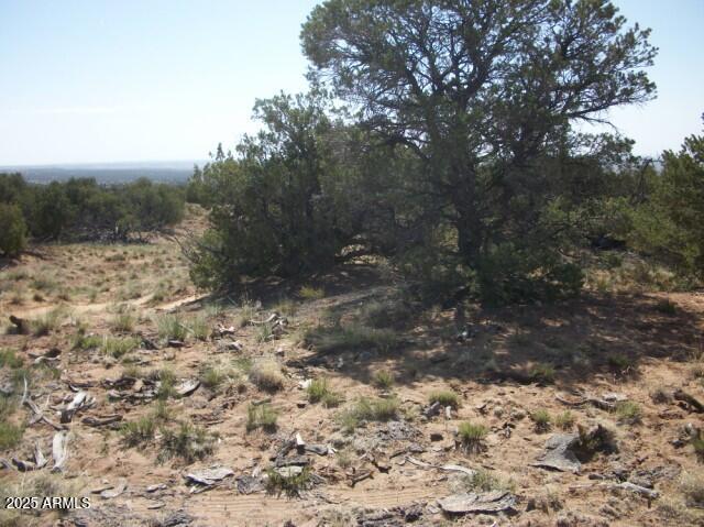 568 County Rd N7407 St. Johns, AZ 85936 - Photo 3 of 11 lastest 034 Large Web view