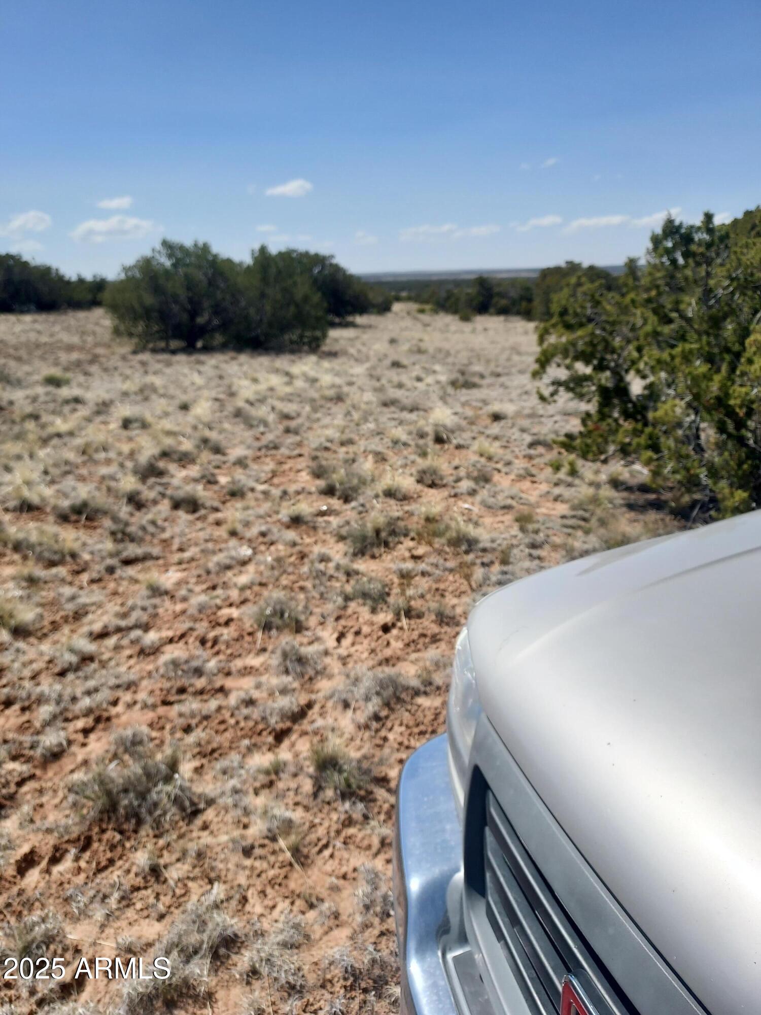 568 County Rd N7407 St. Johns, AZ 85936 - Photo 5 of 11 looking west from the east side