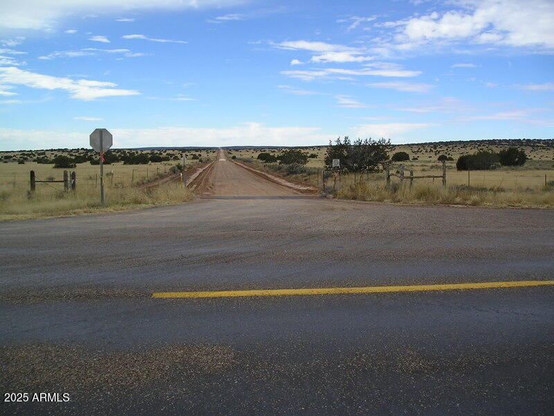 568 County Rd N7407 St. Johns, AZ 85936 - Photo 8 of 11 On 191 looking at 7230