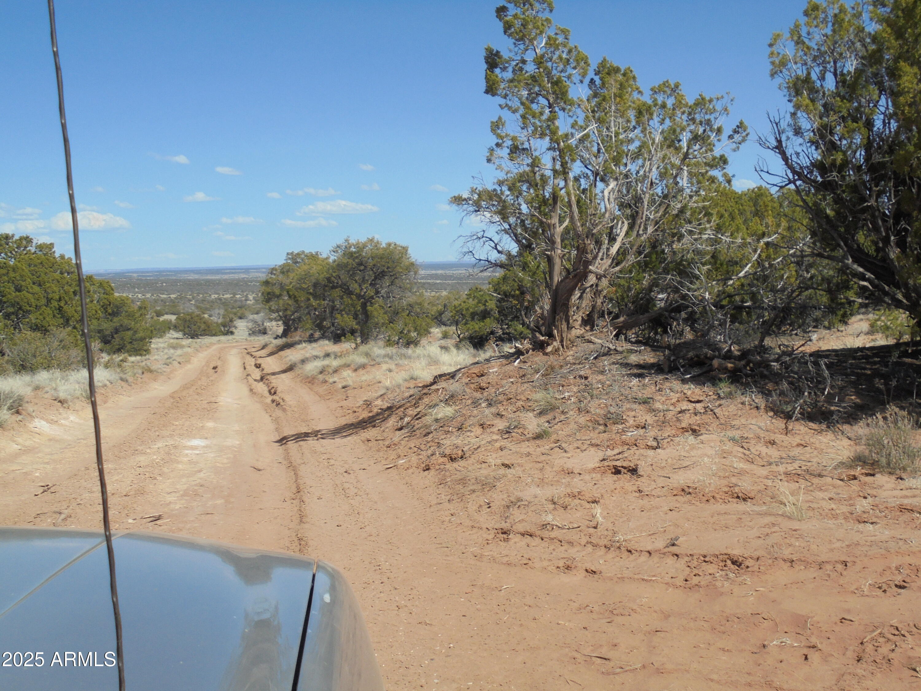 568 County Rd N7407 St. Johns, AZ 85936 - Photo 9 of 11 On rd looking east