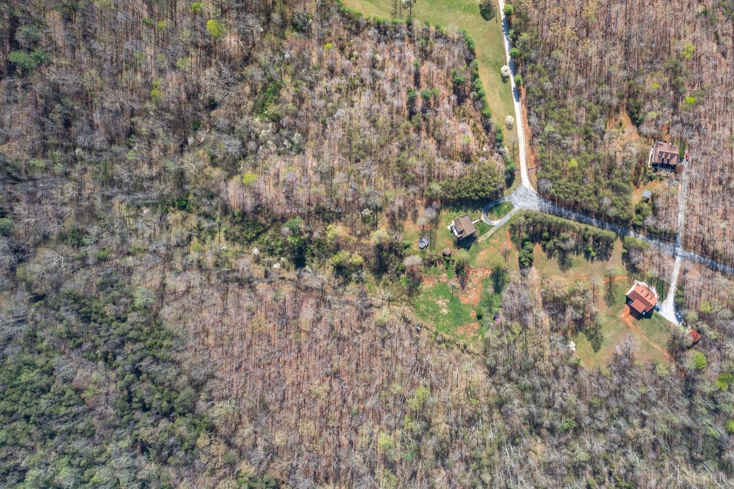 295 Quail Run Amherst, VA 24521 - Photo 63 of 64