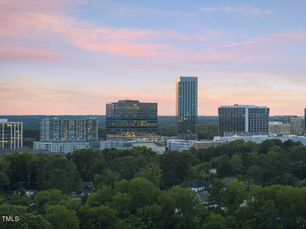 412 Vernon Terrace Raleigh, NC 27609 - Photo 63 of 67 DJI_20240903194333_0097_D (Medium)