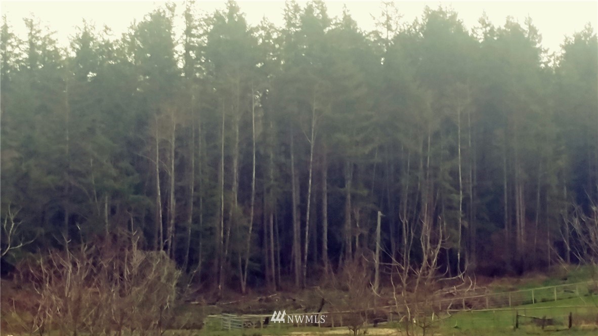 0 Reinke Road Centralia, WA 98531 - Photo 1 of 1 Gallery Image 1