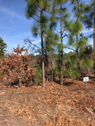 Lot 16 Legion Road Warrenville, SC 29851 - Photo 1 of 1