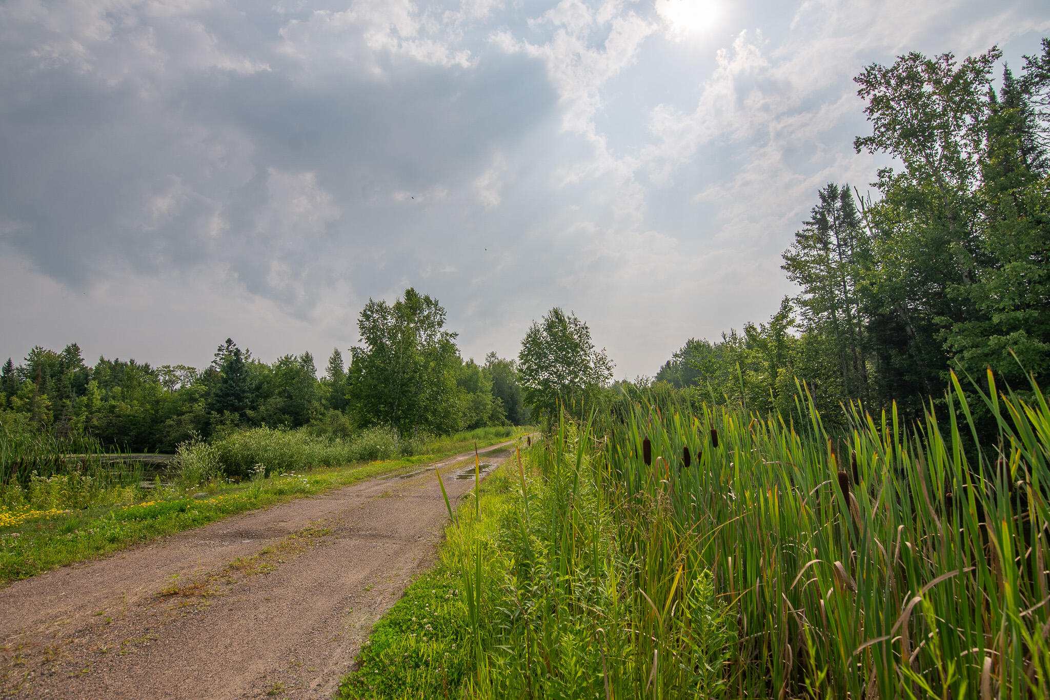 W10905 Otto Road Merrill, WI 54452 - Photo 68 of 71 _DSC0680-HDR