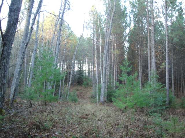 29-acres Spafford Road Rhinelander, WI 54501 - Photo 1 of 13 Gallery Image 1