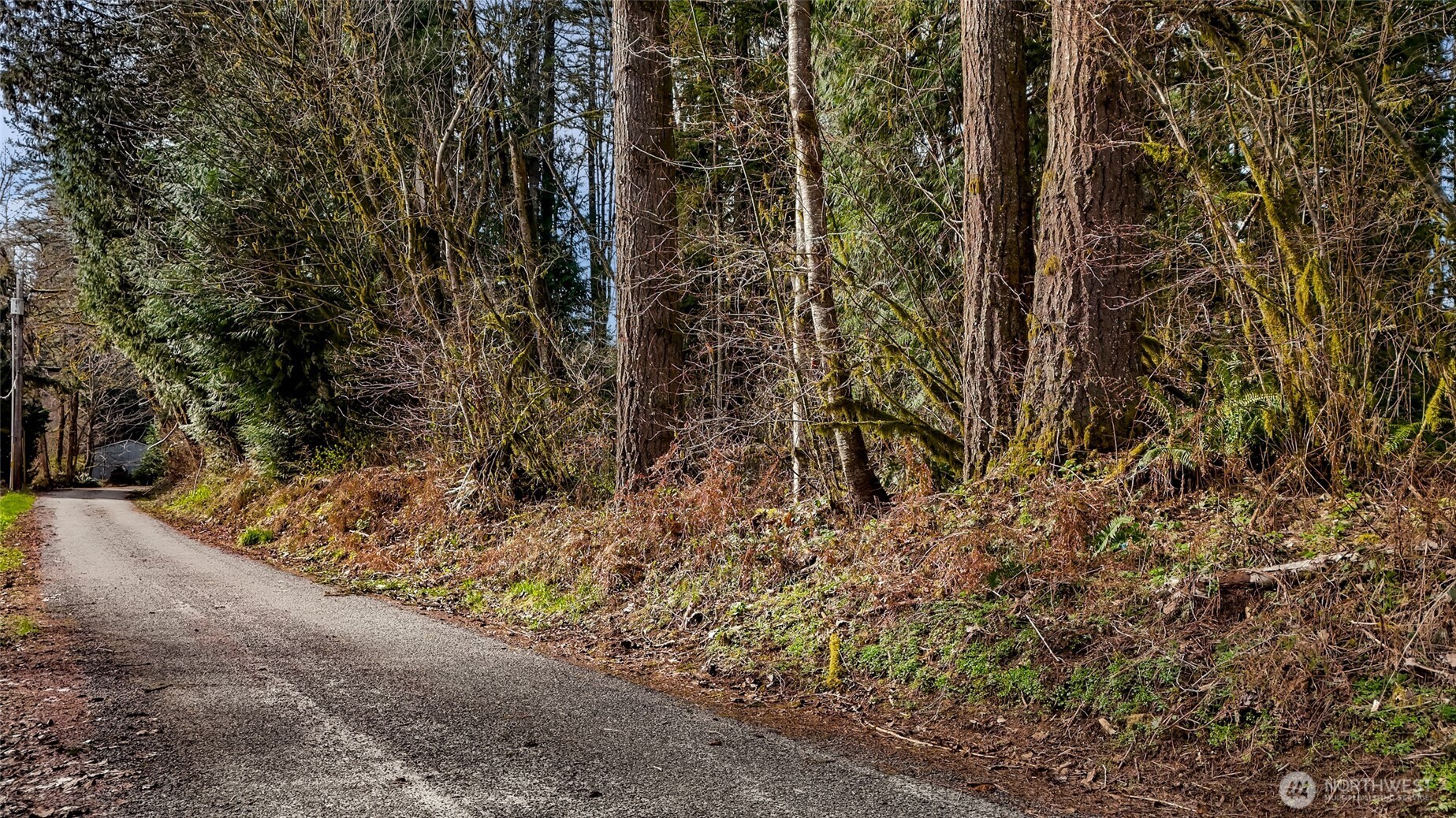 0 Yeager Road Concrete, WA 98237 - Photo 11 of 12