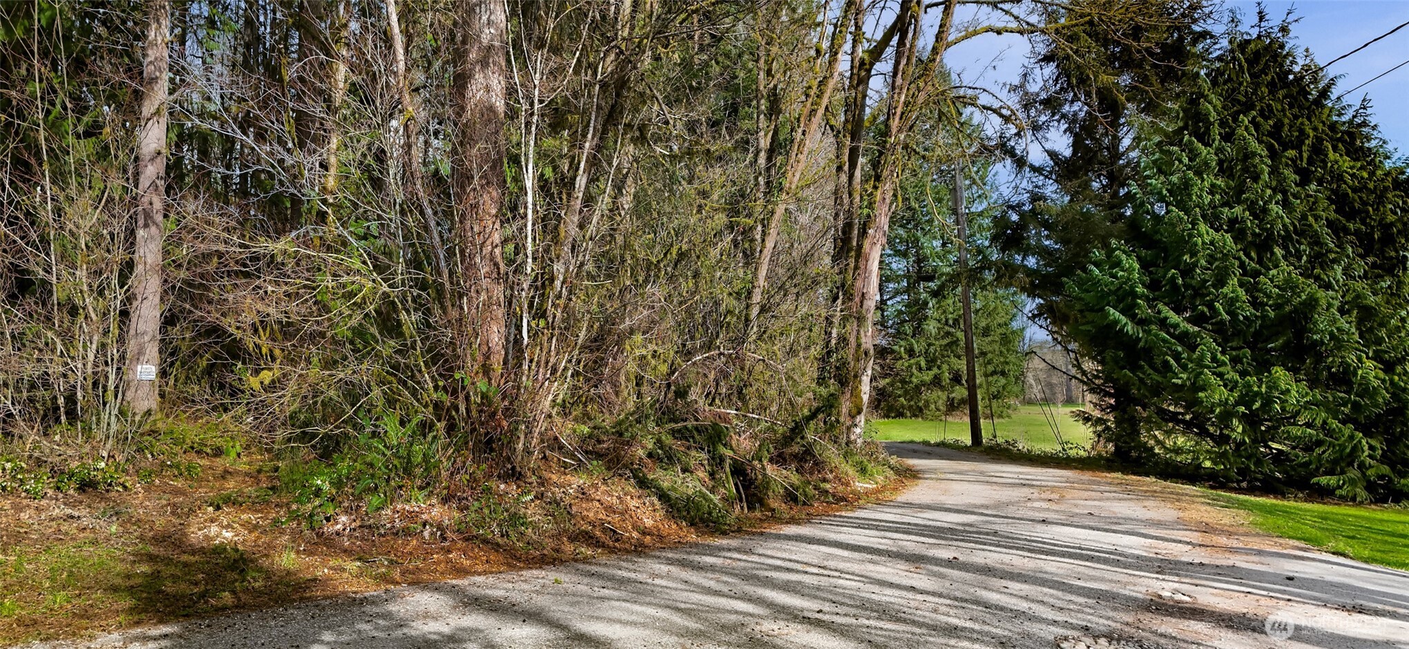 0 Yeager Road Concrete, WA 98237 - Photo 12 of 12
