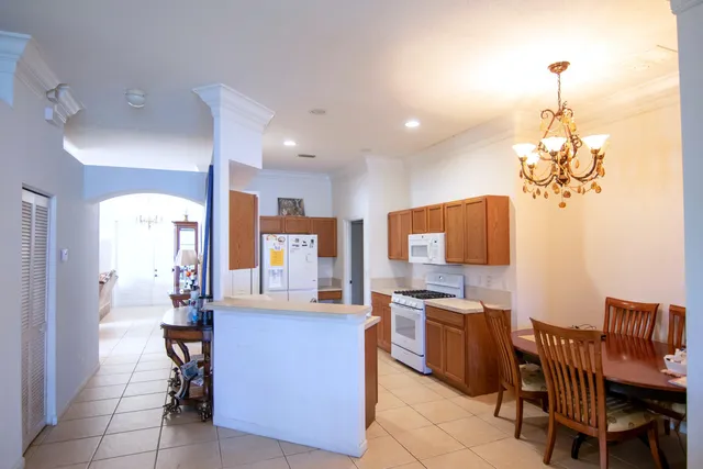 a view of a big yard with plants and large trees
