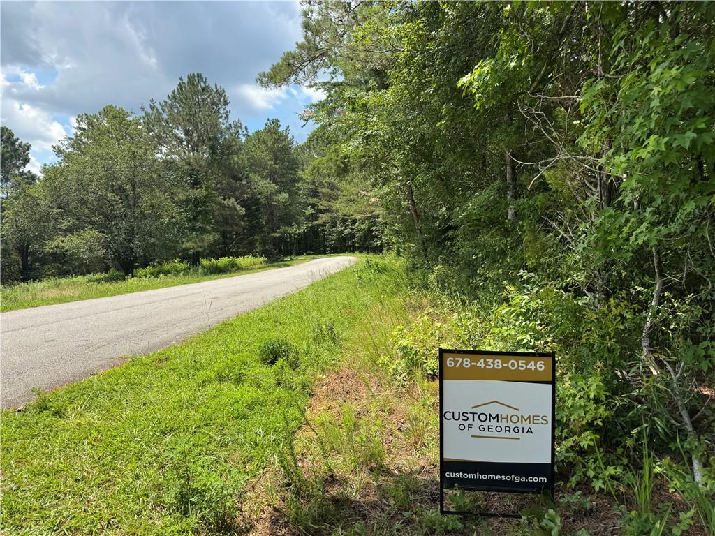 1 Wildcat Road Buchanan, GA 30113 - Photo 22 of 23