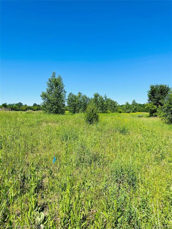 9340 Duffield Road Gaines, MI 48436 - Photo 4 of 6