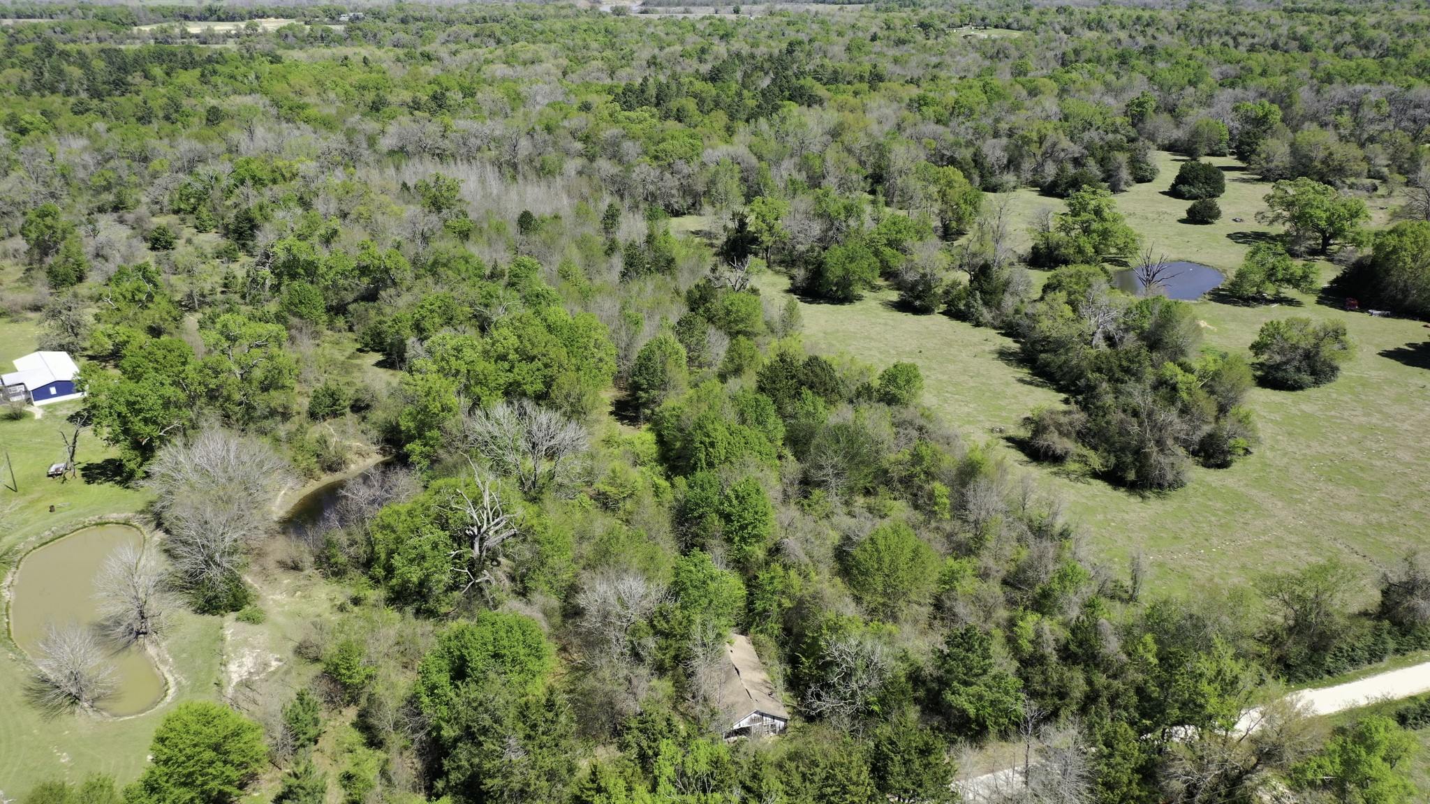 9779 Newport Lane Midway, TX 75852 - Photo 1 of 11 a view of a forest with a tree