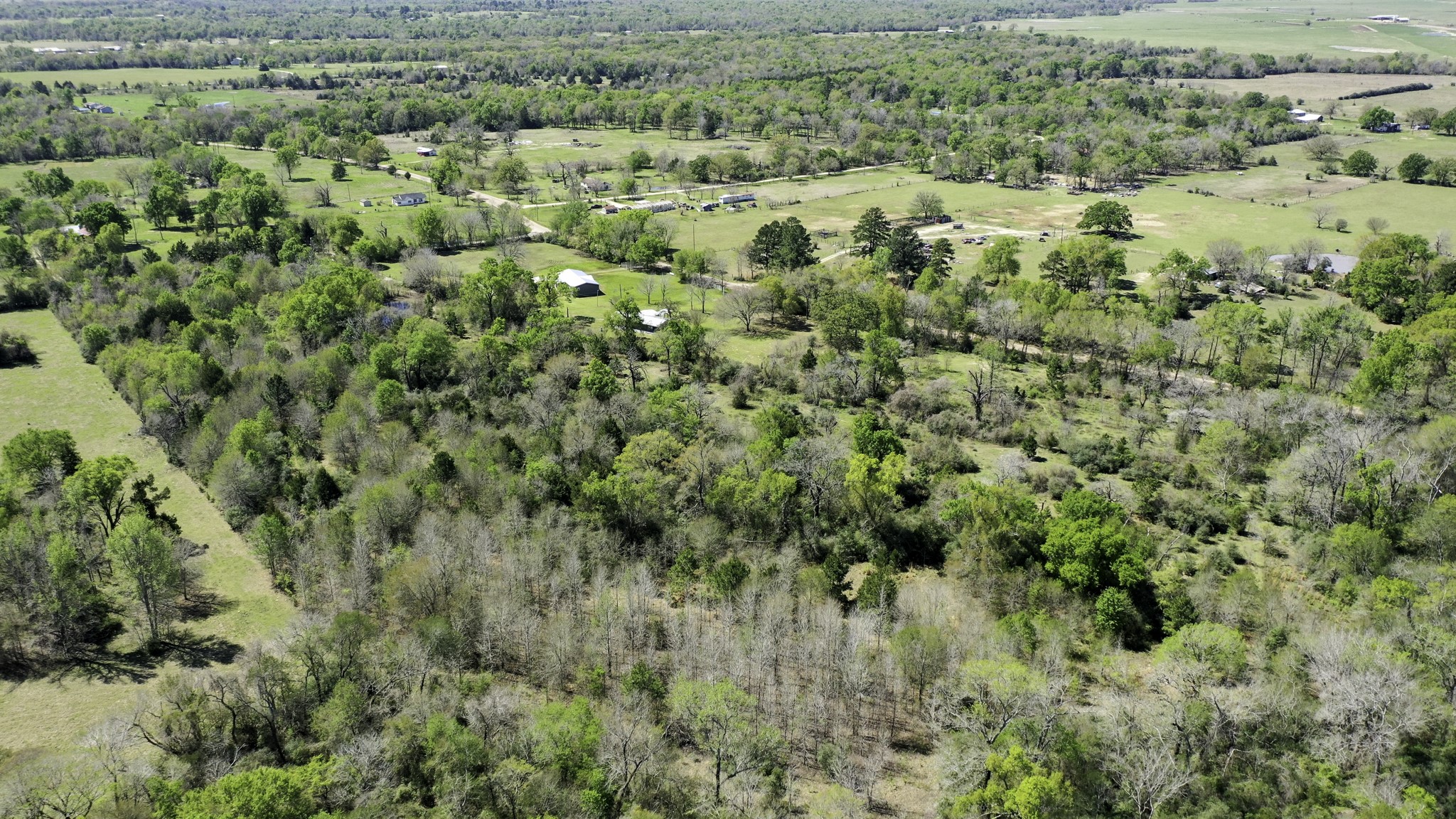 9779 Newport Lane Midway, TX 75852 - Photo 4 of 11 a view of a bunch of trees and bushes