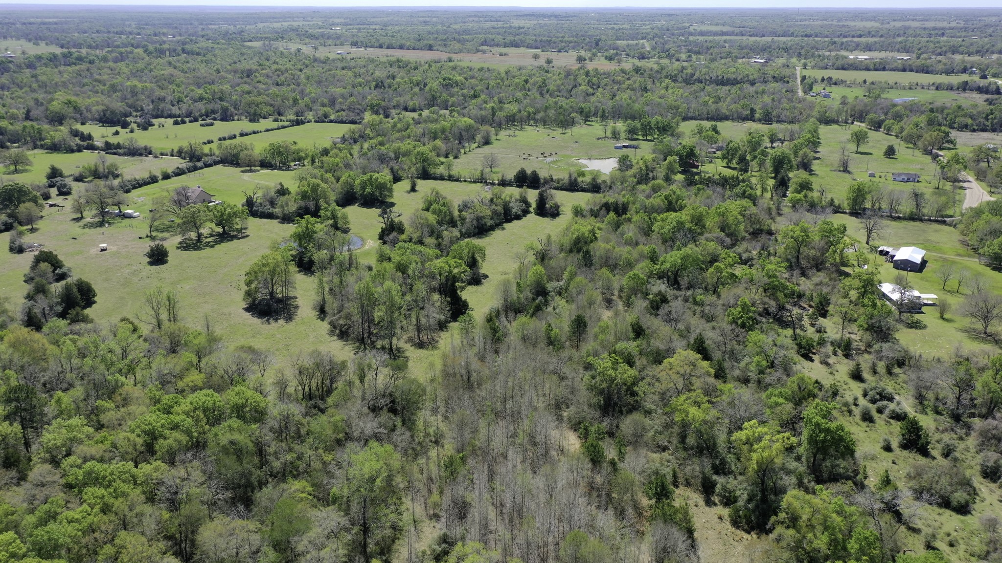 9779 Newport Lane Midway, TX 75852 - Photo 5 of 11 an aerial view of forest