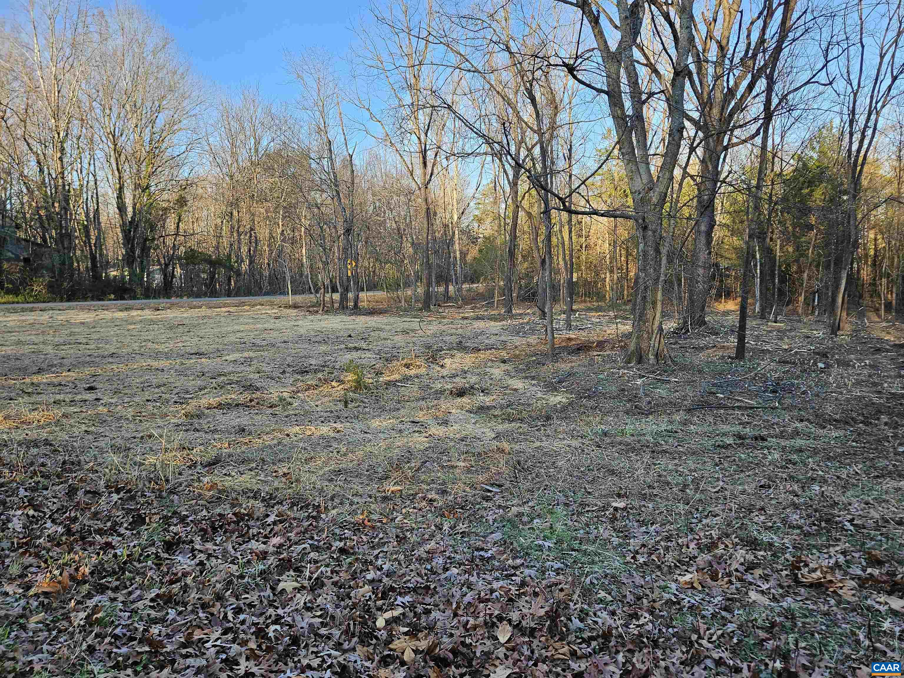 1.441-ac Physic Spring Road Dillwyn, VA 23936 - Photo 11 of 12 Gallery Image 11