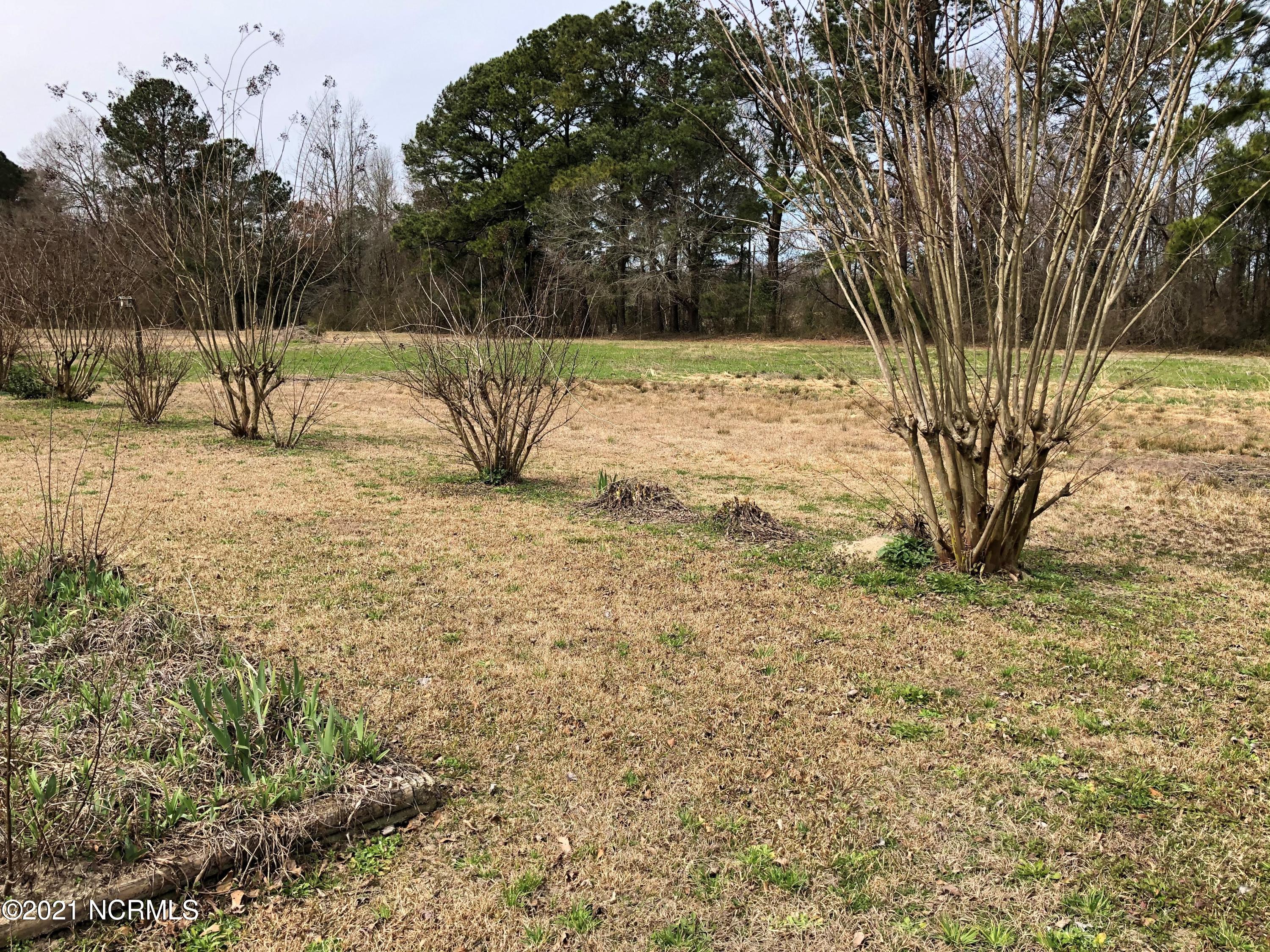 489 Blue Newkirk Road Magnolia, NC 28453 - Photo 2 of 12 489 front yard