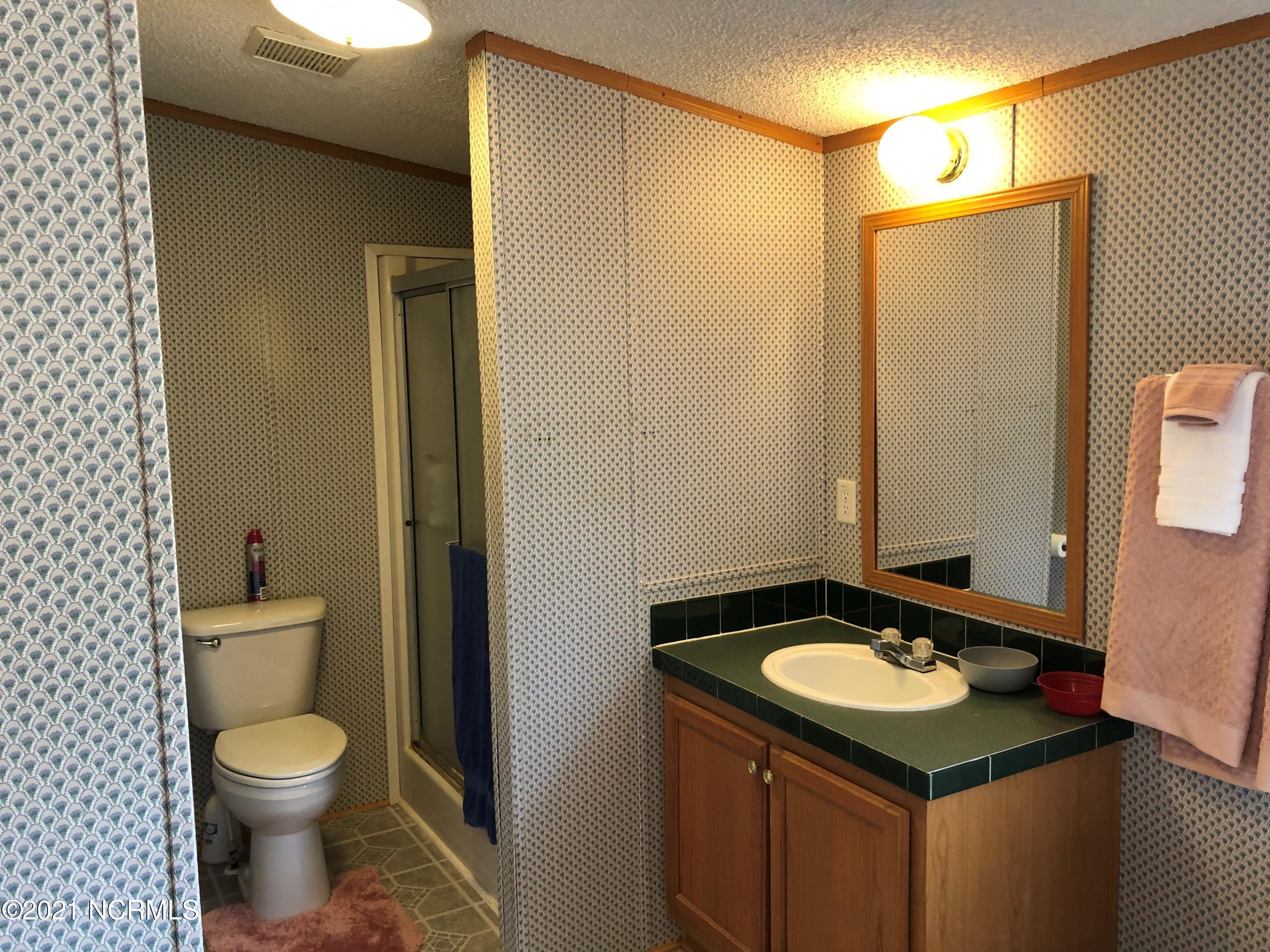 489 Blue Newkirk Road Magnolia, NC 28453 - Photo 10 of 12 849 Master Bath