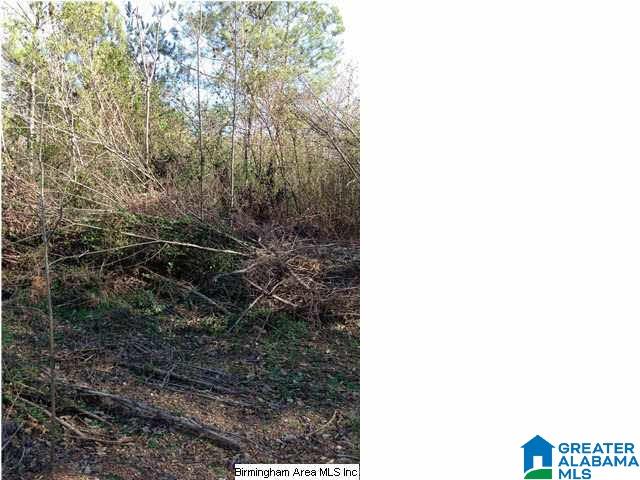 0 Henderson Lake Road, Unit 128 Munford, AL 36268 - Photo 13 of 31