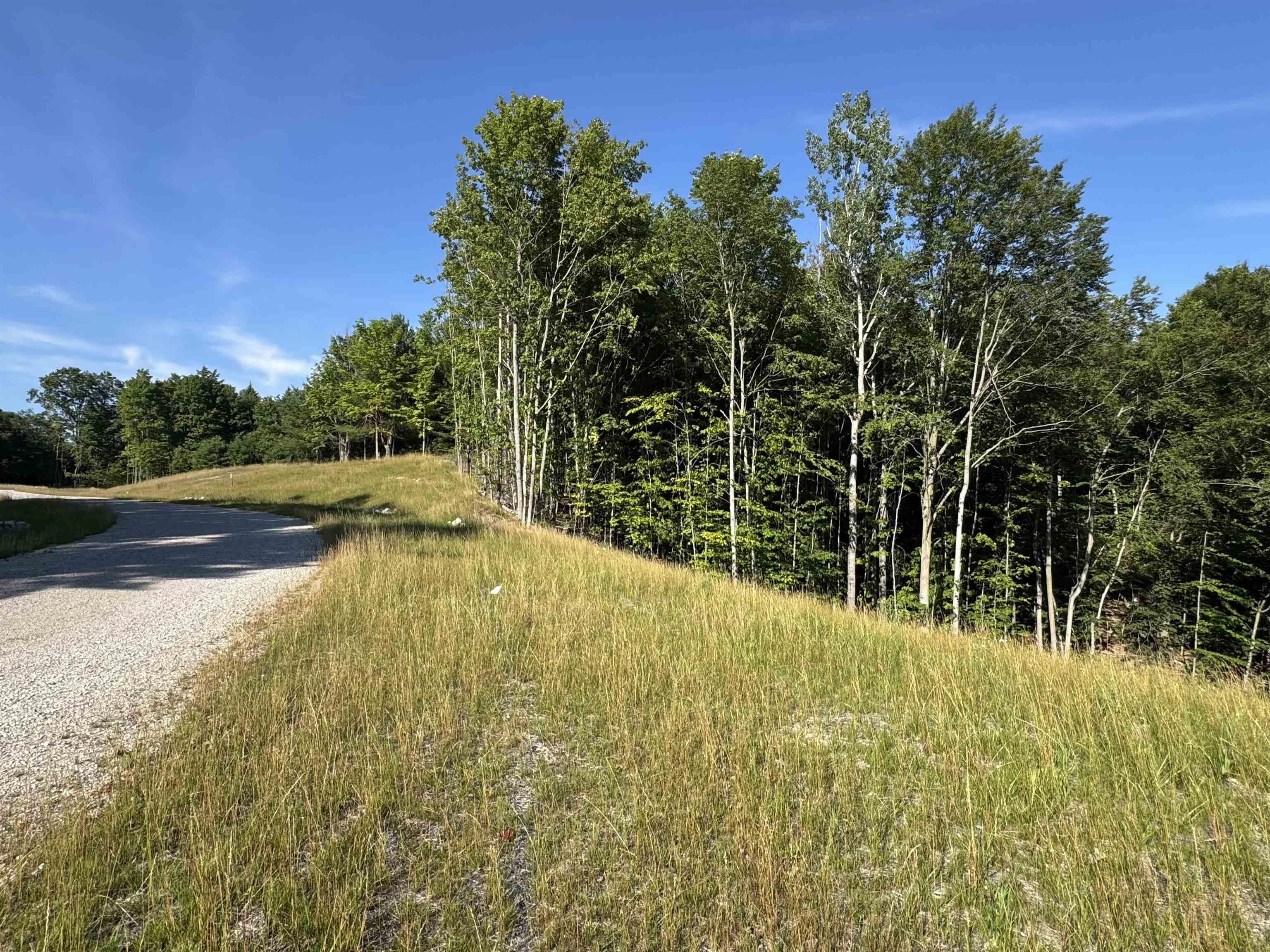 Lot #6 East Bellinger Road Cedar, MI 49621 - Photo 9 of 38 1948121-ecc204bb-3db7-4eca-8498-83c20d6c5dc5.JPG