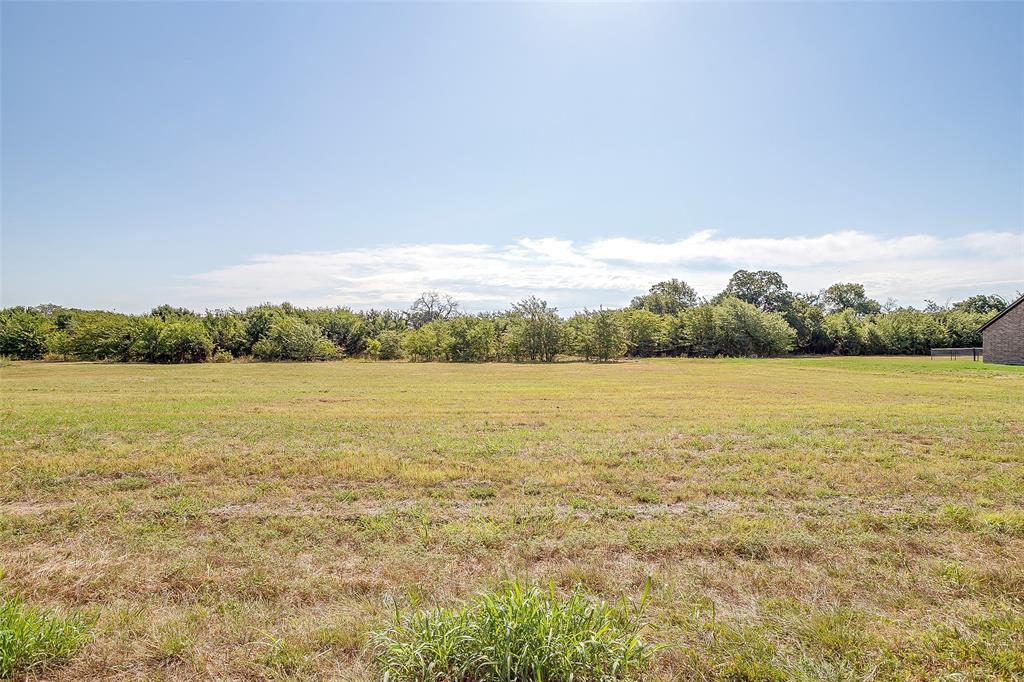 2012 Carrie Court Weatherford, TX 76088 - Photo 6 of 10 a view of a lake with houses in the back