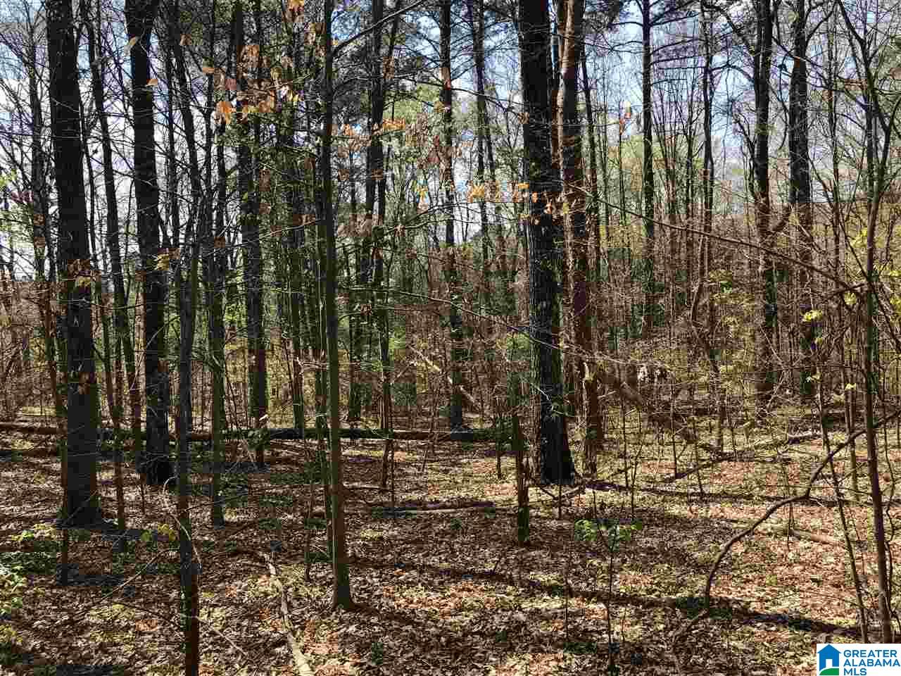 3892 Parkwood Road, Unit 6 ACRES Birmingham, AL 35244 - Photo 5 of 6