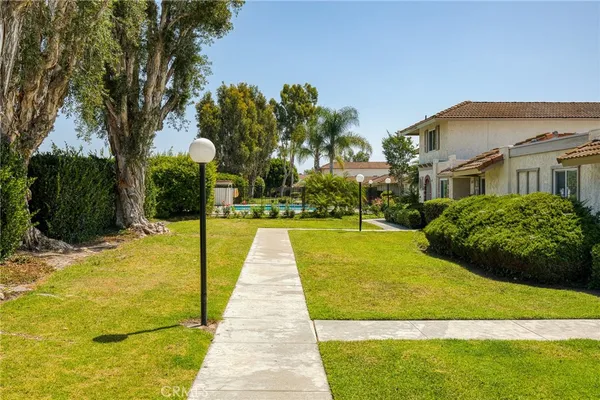 a view of a garden with plants