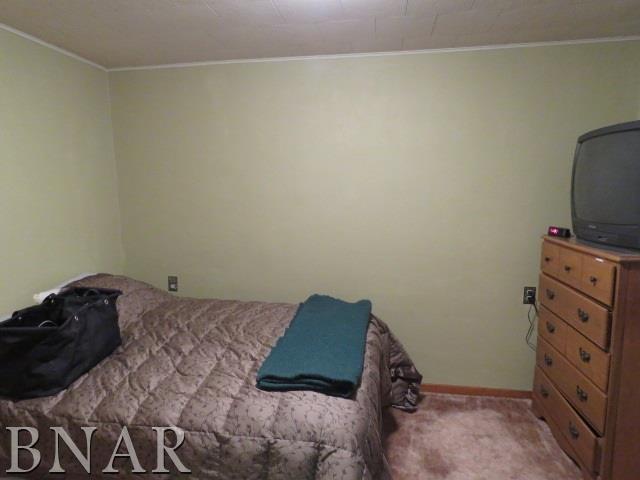 11028 Pear Tree Road Dewitt, IL 61735 - Photo 11 of 22