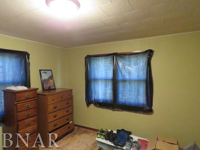 11028 Pear Tree Road Dewitt, IL 61735 - Photo 13 of 22