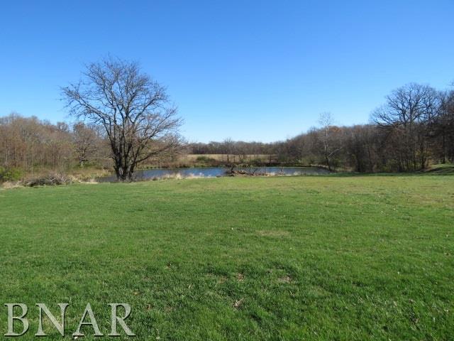 11028 Pear Tree Road Dewitt, IL 61735 - Photo 16 of 22