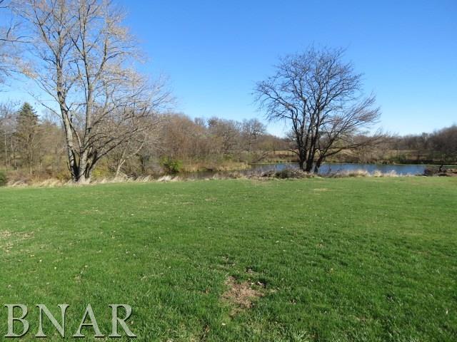 11028 Pear Tree Road Dewitt, IL 61735 - Photo 17 of 22