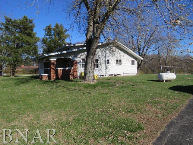 11028 Pear Tree Road Dewitt, IL 61735 - Photo 3 of 22